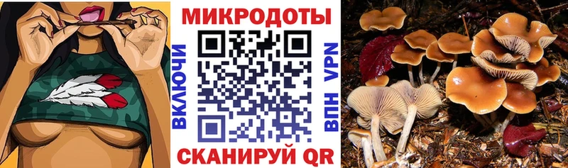 сайты даркнета какой сайт  Вилюйск  Галлюциногенные грибы MAGIC MUSHROOMS  закладки 