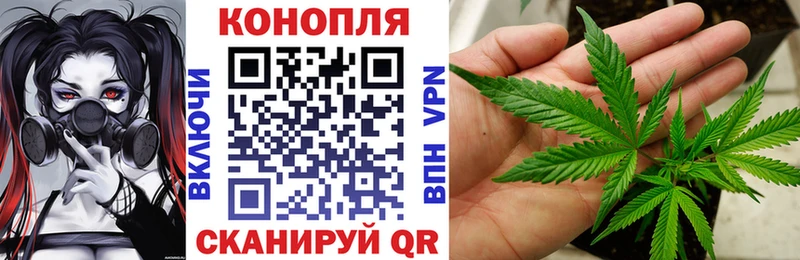 Шишки марихуана план Вилюйск
